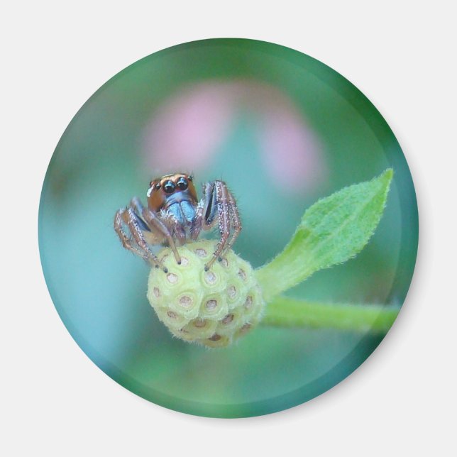 Ein Gartenfreund! Magnet (Vorne)