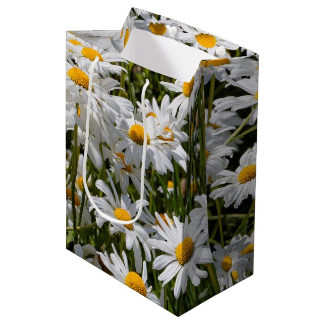 Ein Gebiet der Oxeye Daisies Mittlere Geschenktüte (Vorderseite Schrägansicht)