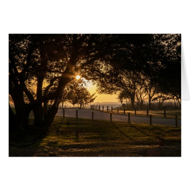 Ein gedankenvoller Abend im Whalehead (Vorderseite (Horizontal))