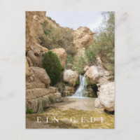 Ein Gedi Naturreservat - Ansichtskarte