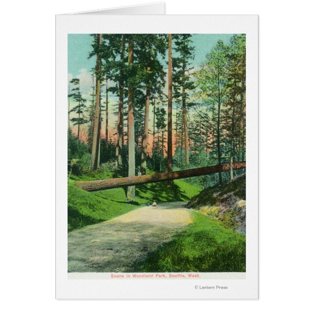 Ein gefallener Baum in der Waldparkszene (Vorne)