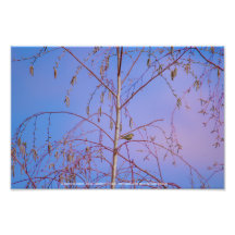 Ein Geheimnis bei Sonnenuntergang