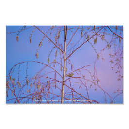 Ein Geheimnis bei Sonnenuntergang Fotodruck