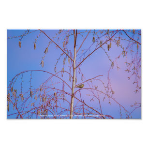 Ein Geheimnis bei Sonnenuntergang Fotodruck