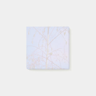 Ein Geheimnis bei Sonnenuntergang Post-it Klebezettel