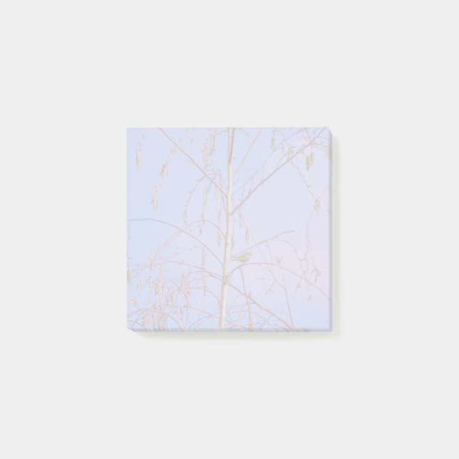 Ein Geheimnis bei Sonnenuntergang Post-it Klebezettel (Vorderseite)