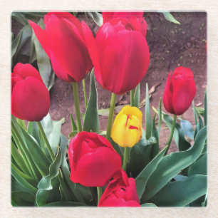 Ein Gelb mit roten Tulissen Glasuntersetzer