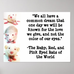 Ein gemeinsames Traumposter Poster