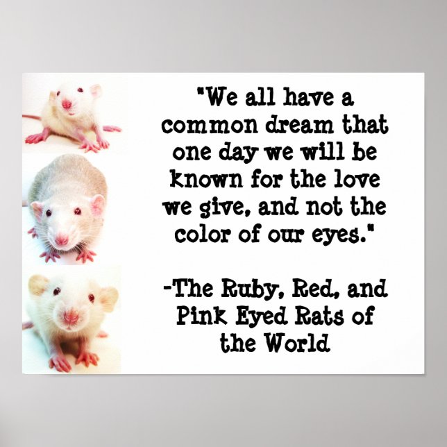 Ein gemeinsames Traumposter Poster (Vorne)