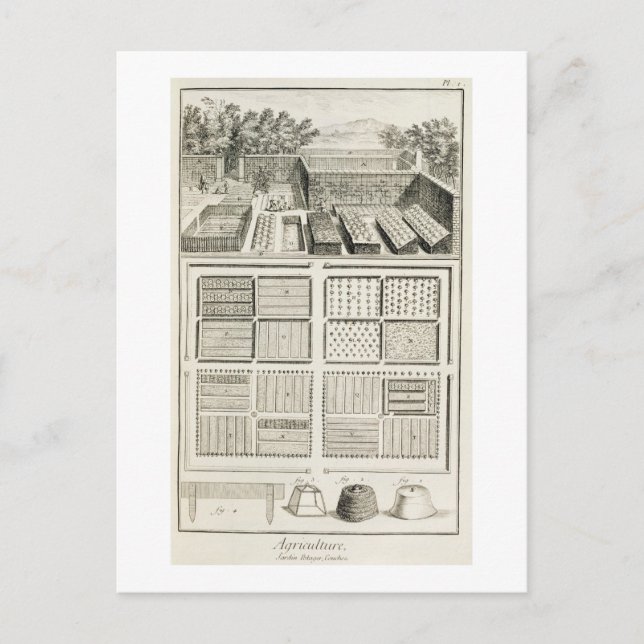 Ein Gemüsegarten, von "The Encyclopedia of Scie" Postkarte (Vorderseite)