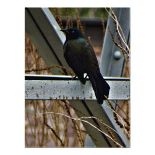 "Ein Gesandter der Hoffnung" Fotodruck