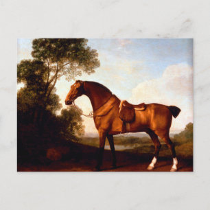 Ein gesattelter brauner Jäger von George Stubbs Postkarte