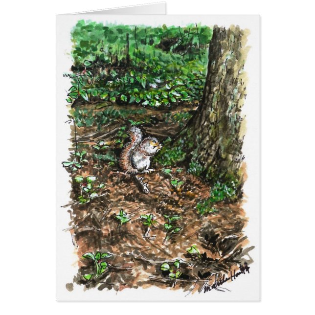 Ein geschäftiges Eichhörnchen (Vorne)