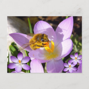 EIN GESCHMACK DES FRÜHENS! Eigener Text Postkarte