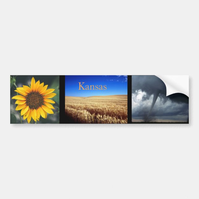 Ein Geschmack von Kansas Autoaufkleber (Vorne)