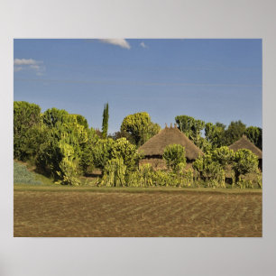 Ein gezüchtetes Feld vor Strohdächern Poster