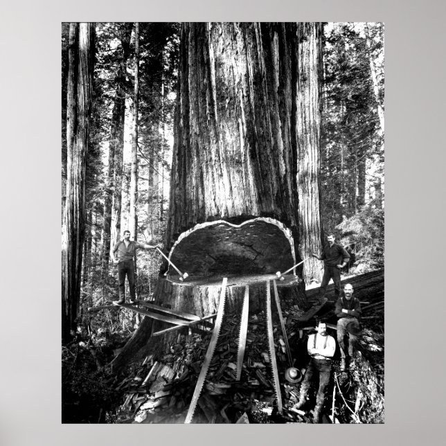 EIN GIANTES c. HERUNTERNEHMEN. 1890 Poster (Vorne)