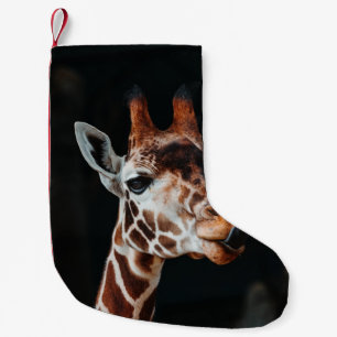 EIN GIRAFFE IN CALGARY ZOO, DER SEINE ZEIT AUSGEGA KLEINER WEIHNACHTSSTRUMPF