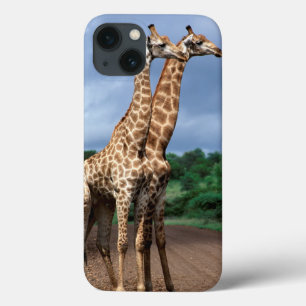 Ein Giraffenpaar auf der Straße, Kruger National Case-Mate iPhone Hülle