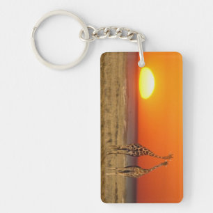Ein Giraffenpaar geht in den Sonnenuntergang, in Schlüsselanhänger