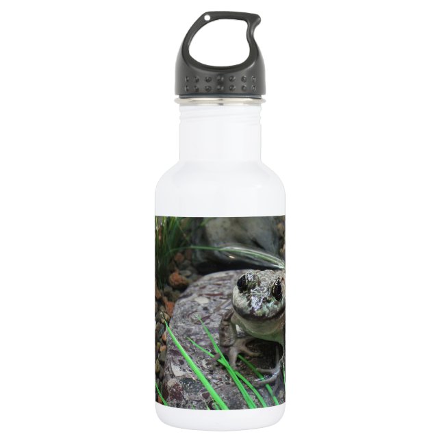Ein glücklicher Frosch Edelstahlflasche (Vorderseite)