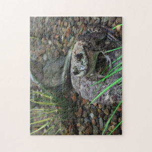 Ein glücklicher Frosch Puzzle