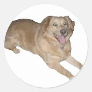 Ein glücklicher Hund! Runder Aufkleber