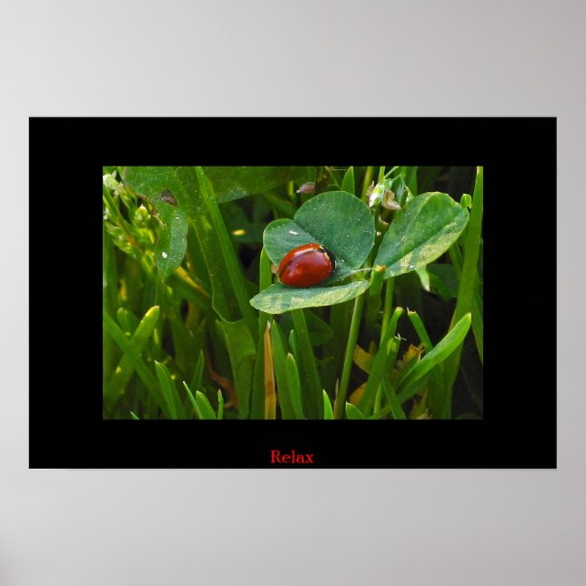 Ein glücklicher St. Patricks Day Poster (Vorne)