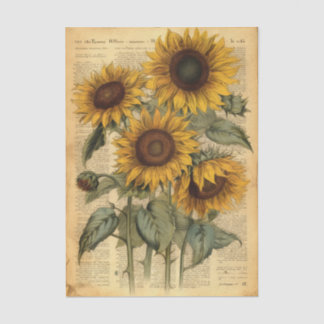 Ein glücklicher Strauß Sonnenblumen auf Vintage-Ze Seidenpapier