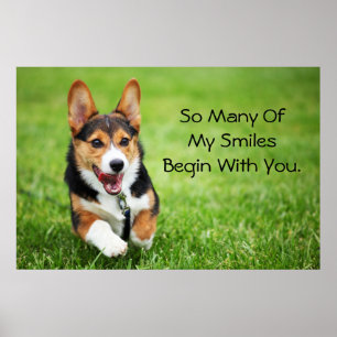 Ein glücklicher und energiegeladener Welsh Corgi W Poster