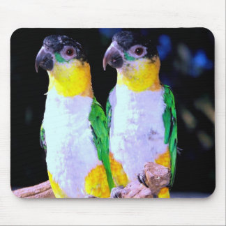 Ein glückliches Paar Mousepad