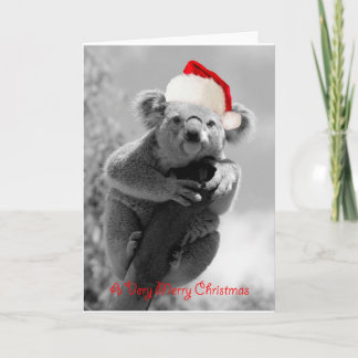Ein glückliches Weihnachten des Koala