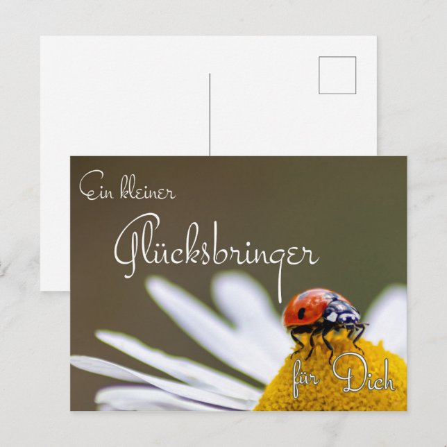 Glücksschweinchen Glücksbringer Persönliche Glücksbotschaft Herz Kleeblatt Marienkäfer - Für Prüfungen, Abi 2026, Genesungswünsche/Mutmacher