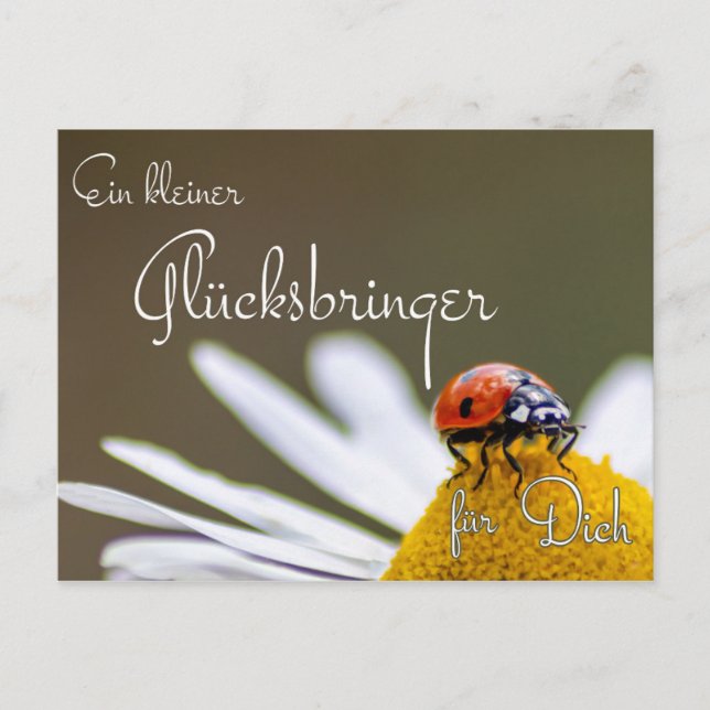 Ein Glücksbringer für Dich mit Marienkäfer Postkarte (Vorderseite)