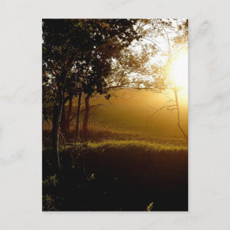 Ein goldener Moment Postkarte