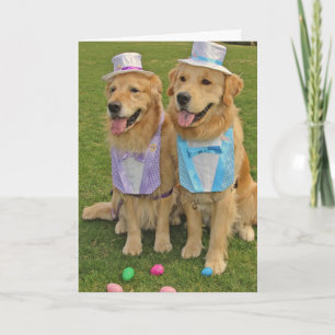 Ein goldenes Ei-Sighting Oster Feiertagskarte