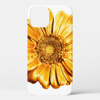 Ein goldenes Gerbera-Blume-Weiß-Hintergrund-Isolat Case-Mate iPhone Hülle