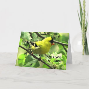 Ein Goldfinch für Großmutter am Tag der Mutter Karte