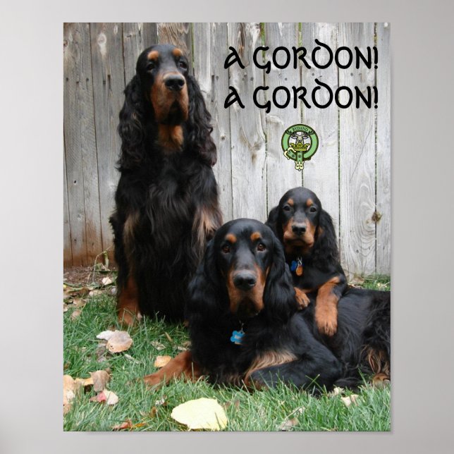 EIN GORDON! EIN GORDON! Gordon Setter Poster (Vorne)