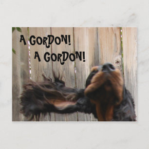 EIN GORDON! Ein GORDON, Gordon Setter Postkarte! Postkarte