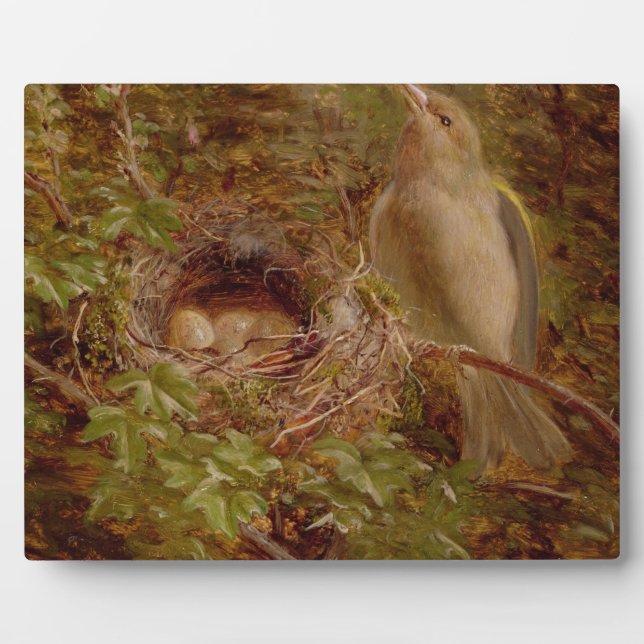 Ein Greenfinch an seinem Nest, 1877 (Öl auf Tafel) Fotoplatte (Vorderseite)