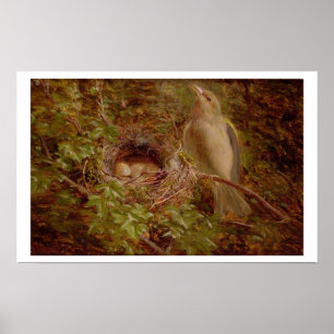 Ein Greenfinch an seinem Nest, 1877 (Öl auf Tafel) Poster