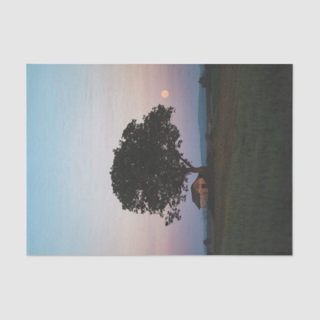 Ein großer Solitärbaum, der eine Scheune schützt Seidenpapier (Vorderseite)