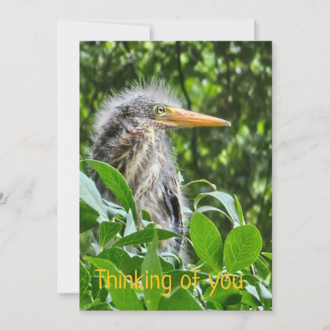 Ein grüner Held. Denken Sie an Sie Einladung (Vorderseite)