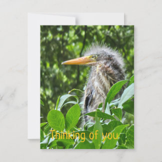 Ein grüner Held. Denken Sie an Sie Postkarte