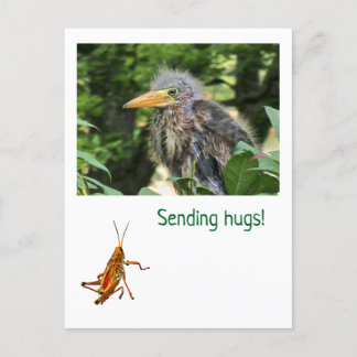 Ein grüner Held Feiertagspostkarte