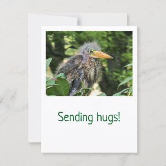 Ein grüner Held Postkarte