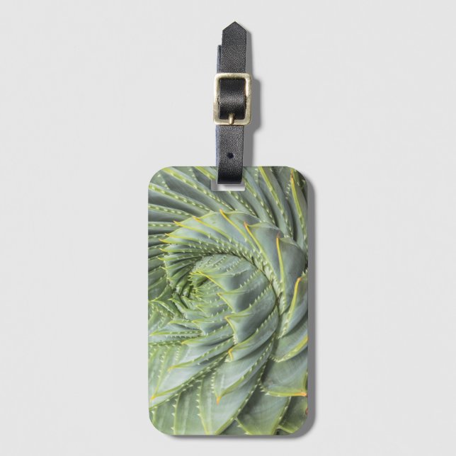 Ein grüner u. weißer Succulent Gepäckanhänger (Vorderseite Vertikal)