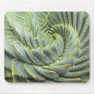 Ein grüner u. weißer Succulent Mousepad