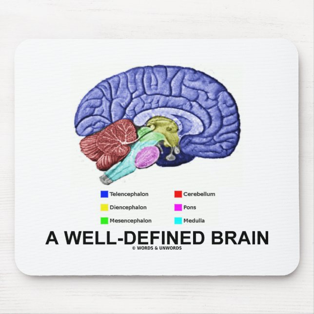 Ein gut definiertes Gehirn (anatomischer Mousepad (Vorne)